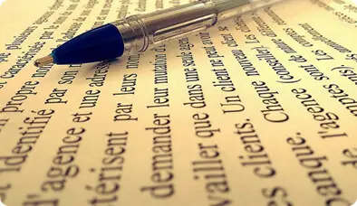 Essay Articles